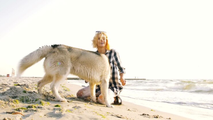 Giovane donna che gioca con un cane husky siberiano sulla spiaggia all'alba, slow motion.