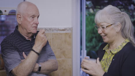 an elderly couple conversing in the kitchen