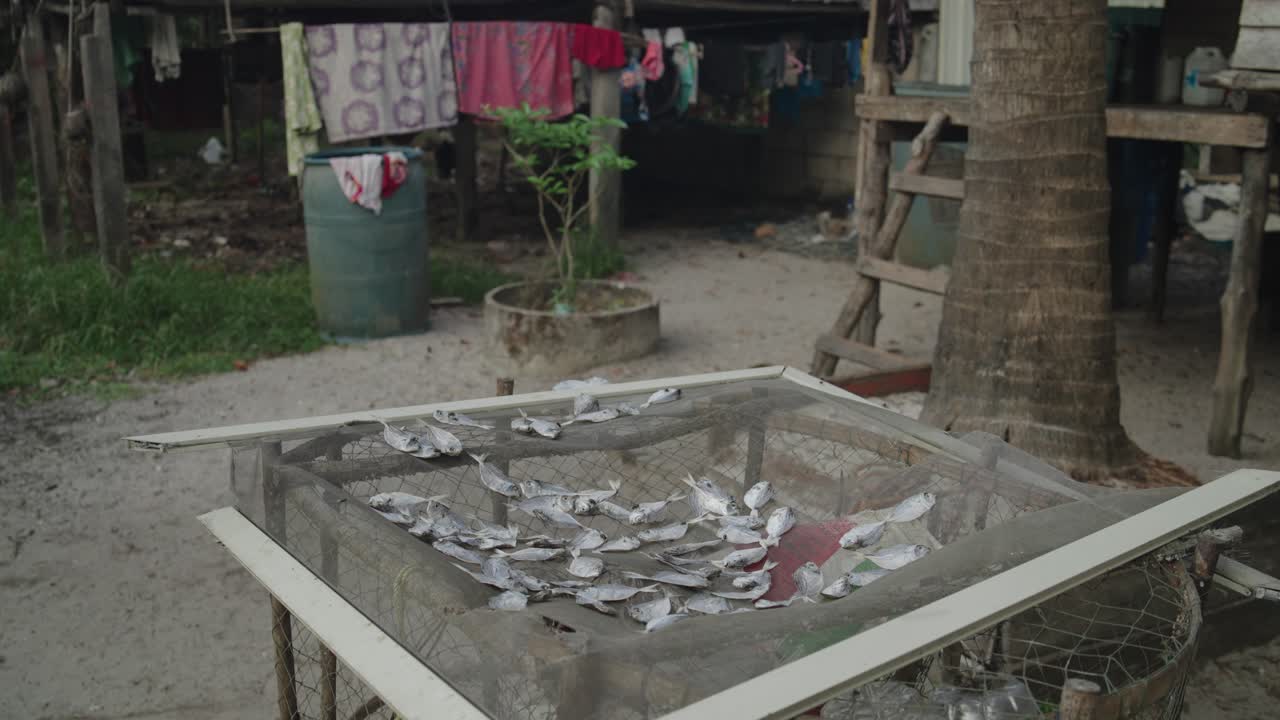 Pescado seco en una comunidad local de refugiados de Myanmar en Ranong