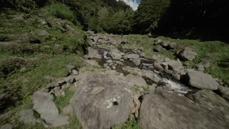 Low-FPV-aerial-of-stream-through-forest-at-Azores-and-shadow-of-drone