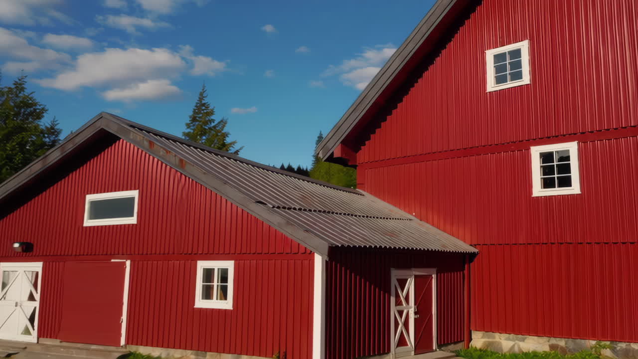 Red Barns and Sheep in a Norwegian Countryside