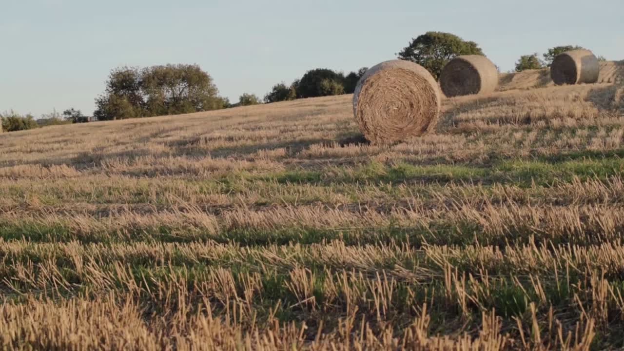 Hay bales in countryside field in farmers field