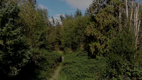Drone-4K-Footage-Cloverdale-Following-Forward-Wooded-Hiking-and-Biking-Trail-in-the-Forest-Ready-to-Eplore-and-Backpacking