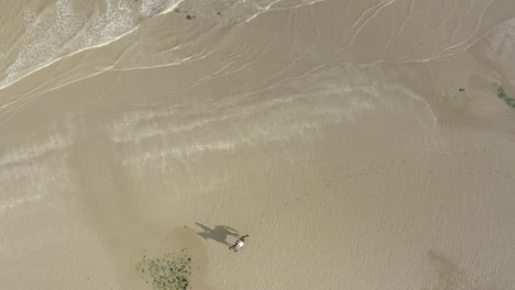 vista aérea de arriba hacia abajo, jinete y caballo, paseo a lo largo del borde de las aguas de una playa
