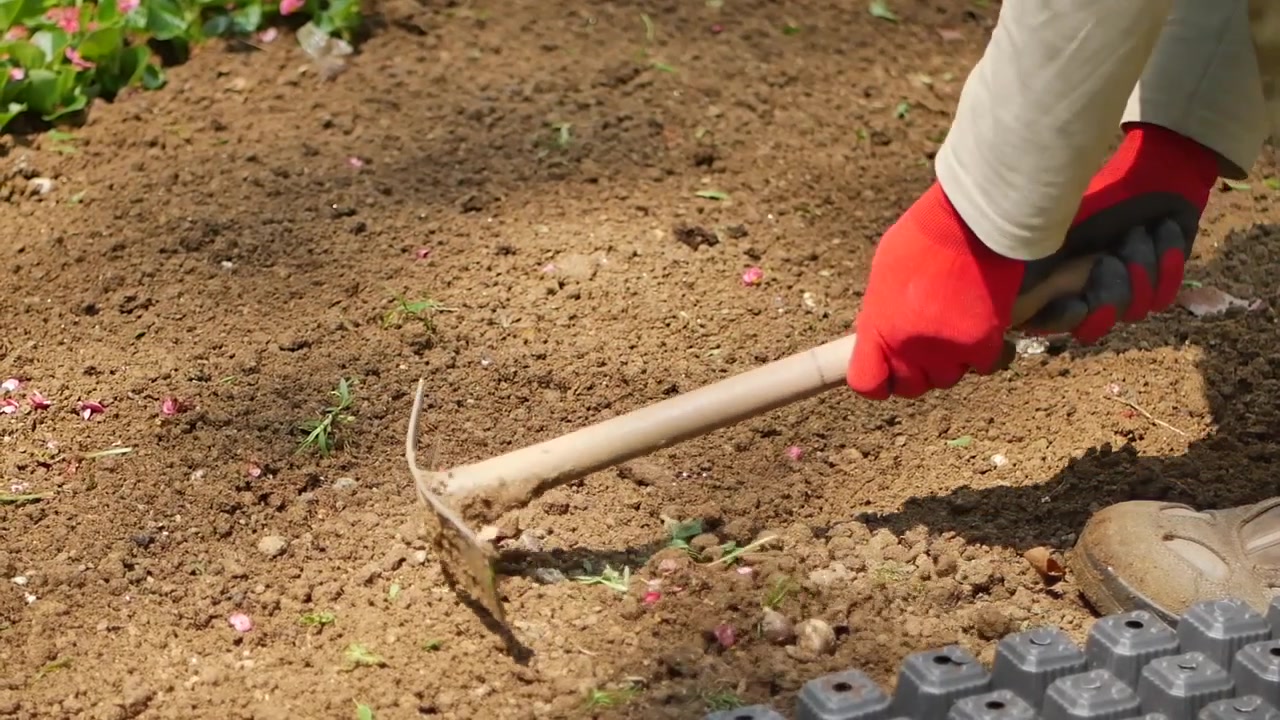 Jardinero usando una azada de mano para cultivar la tierra en un jardín