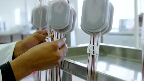 laboratory technician analyzing blood bags 4k