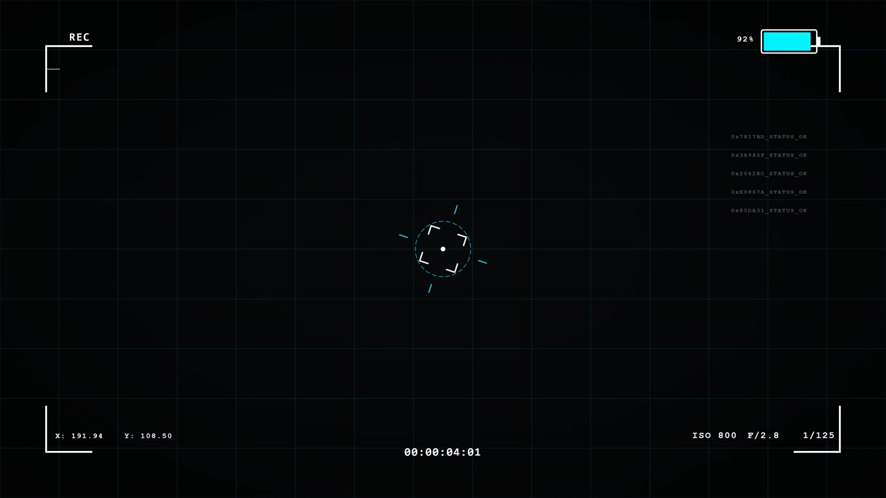 Digital Camera Viewfinder Interface Overlay with Grid and Data