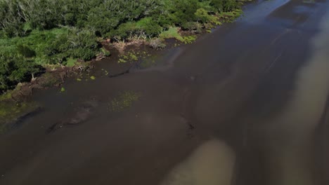 Aerial-upward-tilt-of-sand-banks-and-woodland-by-Rio-de-la-Plata-shore