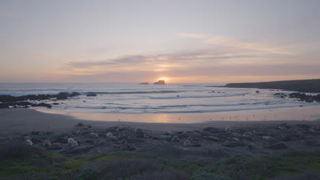 Lapso-De-Tiempo-De-Elefantes-Marinos-Tendidos-En-La-Playa-De-Vista-Point-Mientras-El-Sol-Se-Pone-En-El-Fondo-Ubicado-En-California