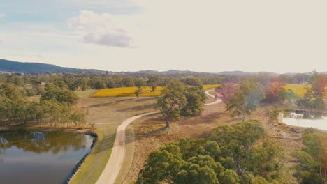 Drone-Antena-En-Bodega-Tranquilo-Día-De-Otoño