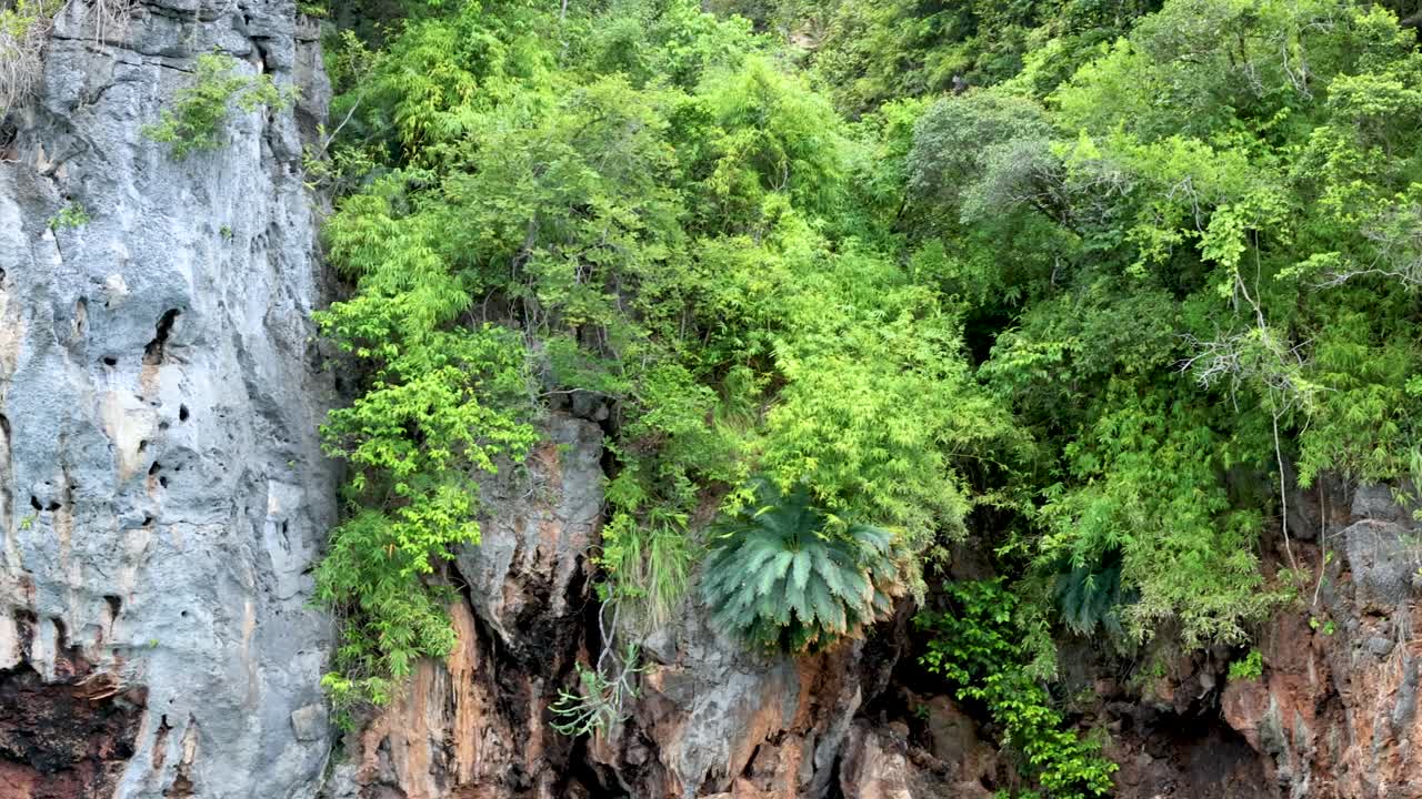los exuberantes acantilados se encuentran con el vibrante mar turquesa.
