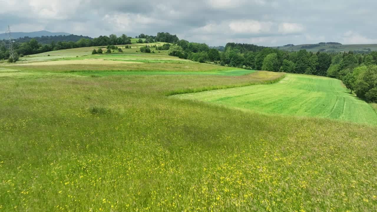 campos y pastos de la polonia rural, montañas beskid panorama aéreo