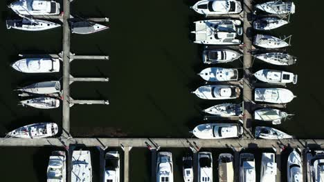 luxy yachts and assorted boats , top down view at exclusive marina