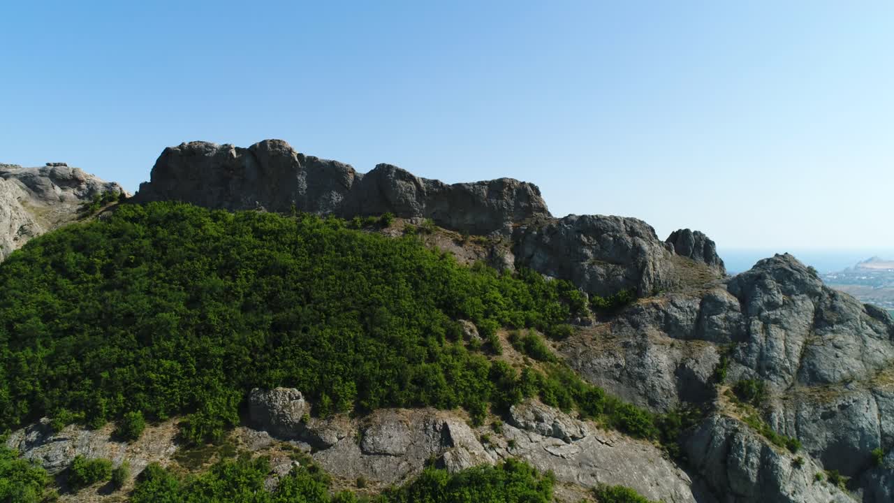 울창한 식물이 있는 산악 풍경