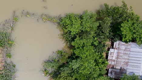 aerial top view of rural village home surrounded by flood water in bangladesh, south asia - sylhet