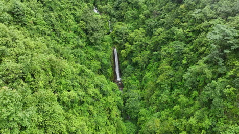waterfall in lush green forest