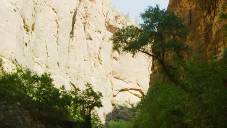 pan down shot starting from the tip of the rocky mountains following down to the stunning river bed below surrounded by trees and boulders