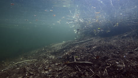 Biberhütte-Unter-Wasser-Während-Eines-Tauchgangs