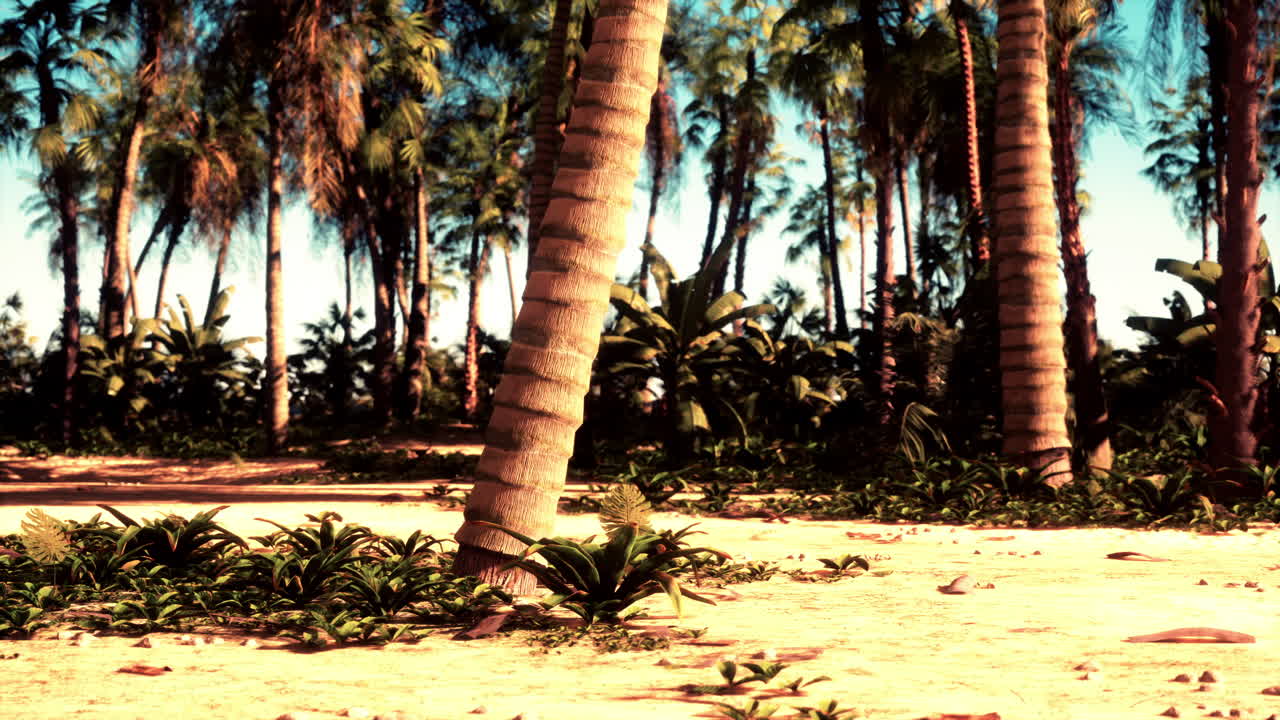 A group of palm trees sitting on top of a sandy beach