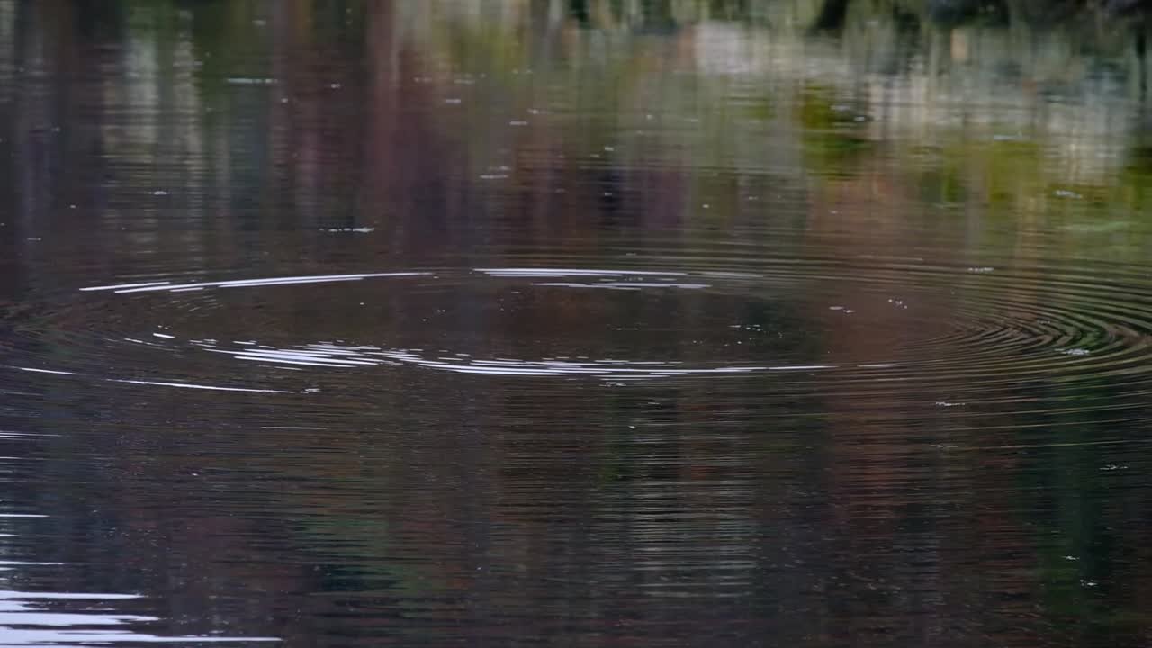 Ripples on a Pond