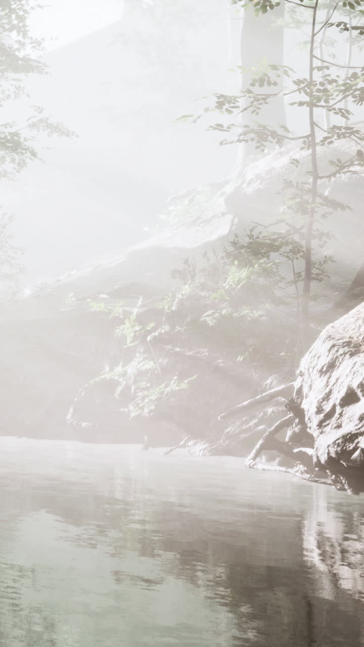 안개 숲의 하천