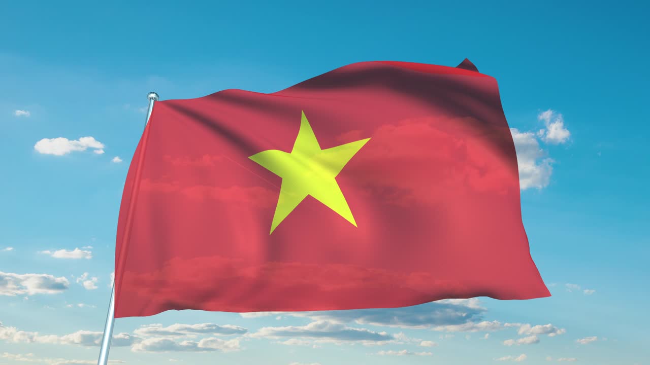 흐린 하늘을 배경으로 직물 구조로 된 베트남 발 (loopable)