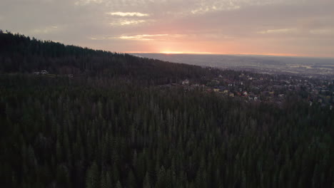 fly over dense thicket over the mountains in holmenkollbakken, oslo norway. aerial drone