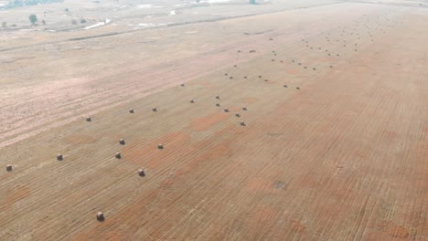haystacks on yellow agriculture field. summer farmland meadow after harvesting. agribusiness concept. harvested field at countryside