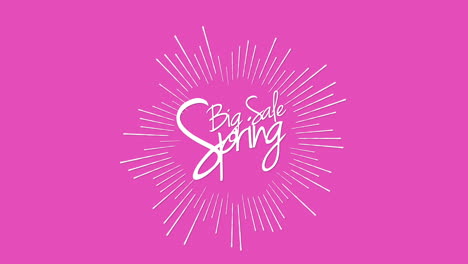 Big-Spring-Sale-discover-incredible-deals