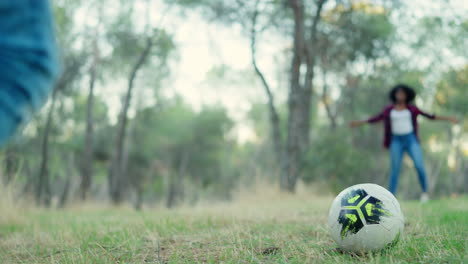 people playing soccer in a park