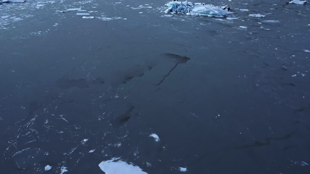 겨울날 바닷물에 떠 있는 얼음 조각들