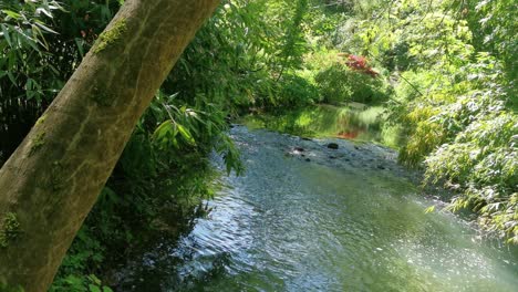 Water-flowing-through-a-rural-river-in-the-British-countryside