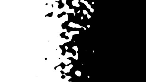 abstract cgi motion graphics, animated background with moving black and white shapes. cg motion design loop.