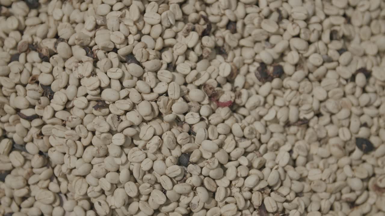 커피 콩을 건조하는 동안 슬로우 모션 팬