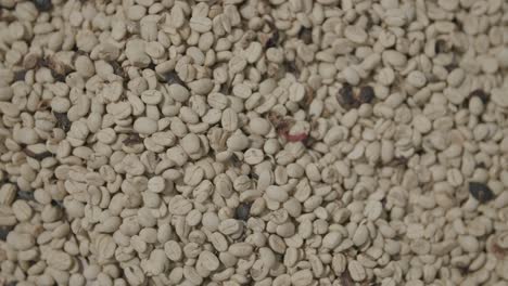 slow motion pan across drying coffee beans