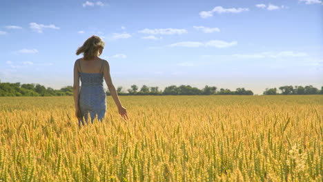 mujer en el campo de trigo paisaje. tierra de agricultura. niña tocando orejas de trigo