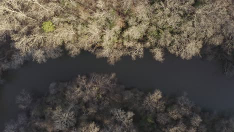 dead grove of trees and river way shot from above in the winter- concept - end or beginning, life and death, extinction, industry spill, climate change