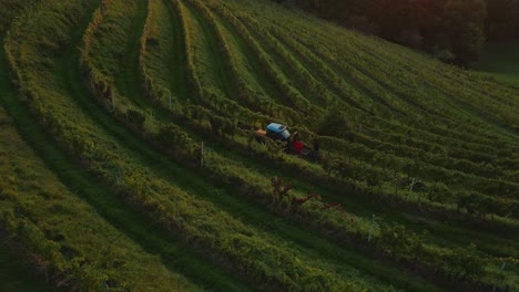 Traktor-Fährt-Durch-Weinberge