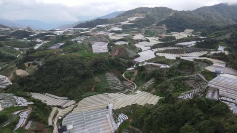 general landscape view of the brinchang district within the cameron highlands area of malaysia