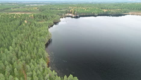 pine forest surrounding lake with black water during autumn in sweden