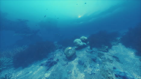 a beautiful underwater scene with coral reefs and tropical fish