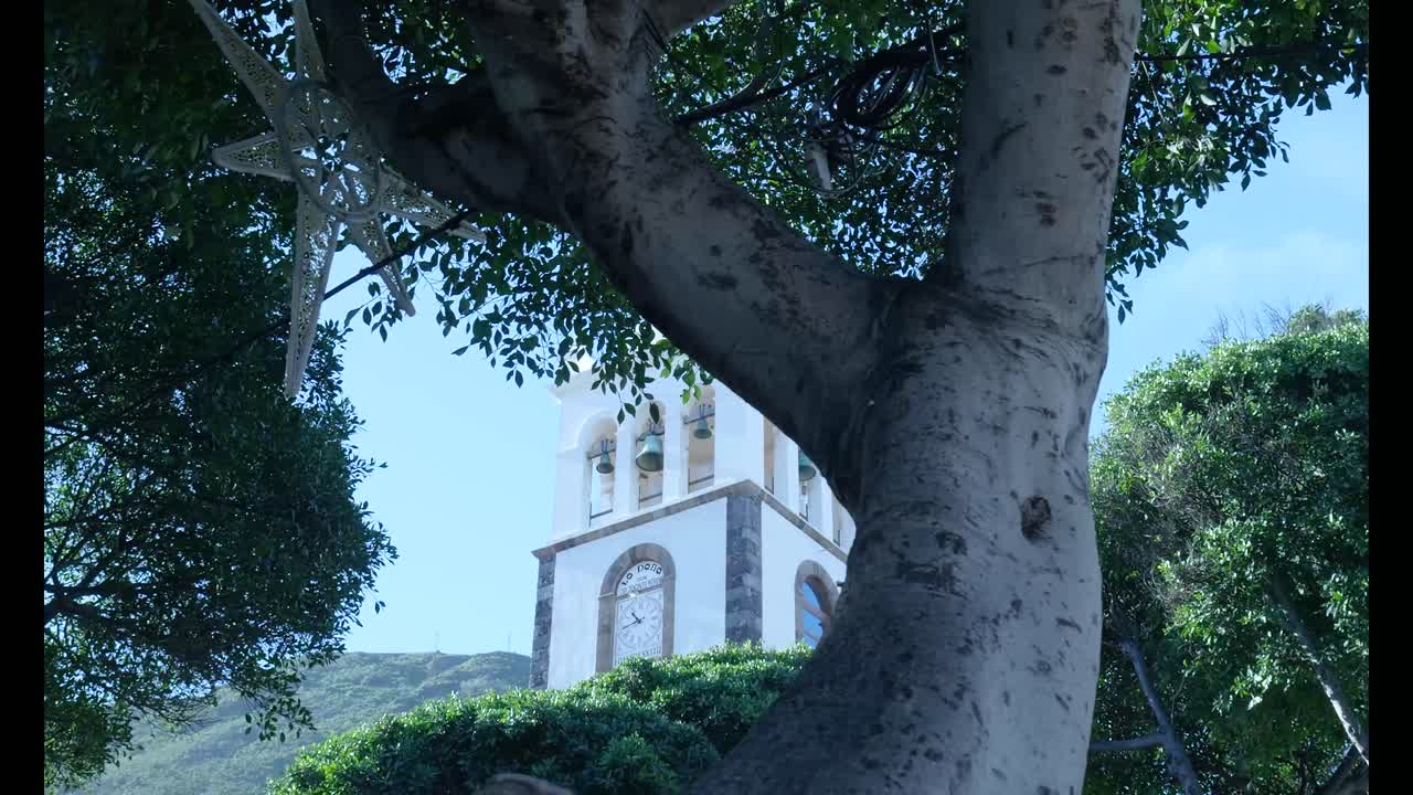 Campanile bianco con orologio incorniciato da alberi verdi su sfondo di cielo blu