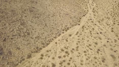 Aerial-birds-eye-shot-of-abandoned-desert-with-dried-plants-during-hot-summer-day-in-Joshua-Tree-National-Park,California