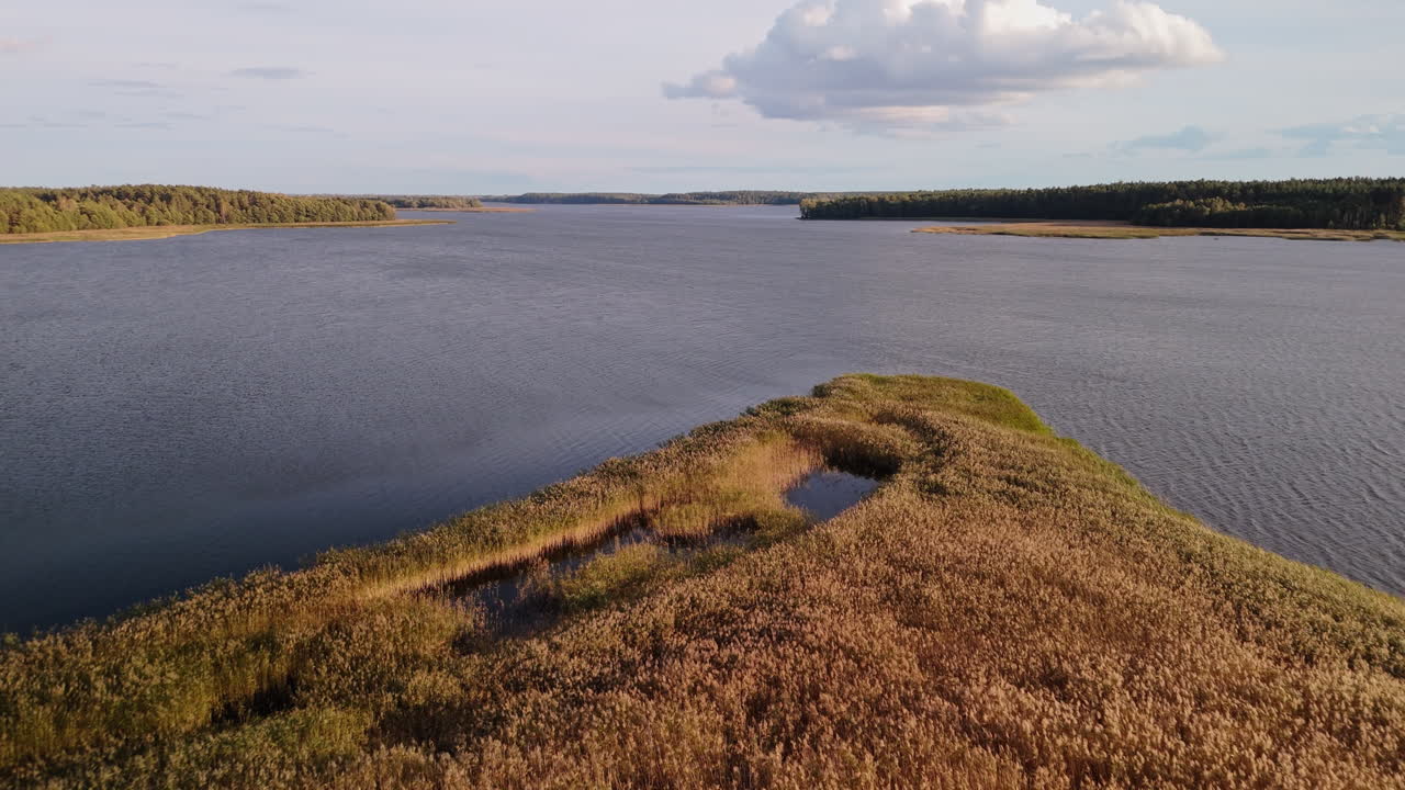 Aerial View of a Lake with Island and Marsh