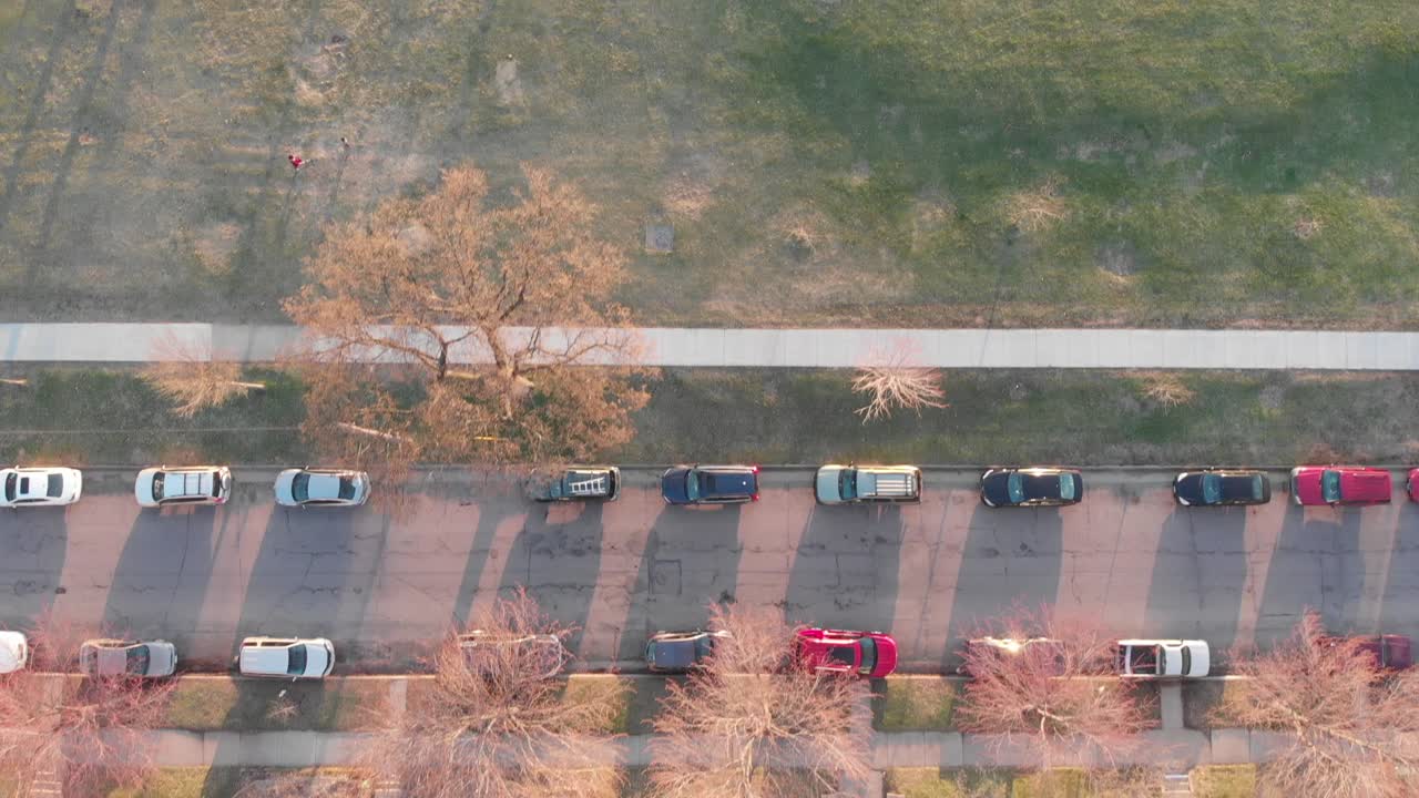 해가 지는 동안의 거리, 조류의 시야