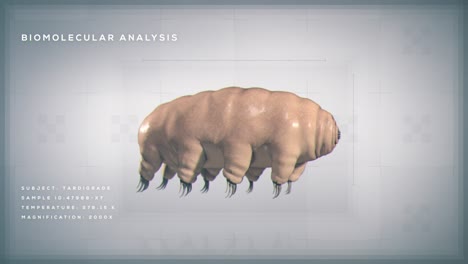 animated turntable graphic of a tardigrade water bear rotating with generic scientific text