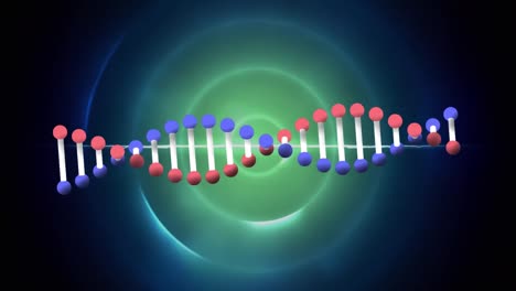 Animation-Eines-DNA-Strangs-über-Blauen-Kreisen