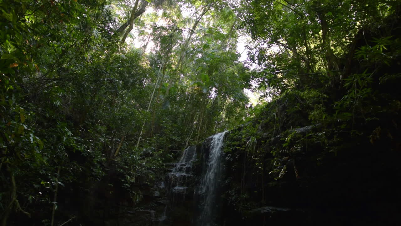 Waterfall in Atlantic Forest in Rio de Janeiro, Brazil