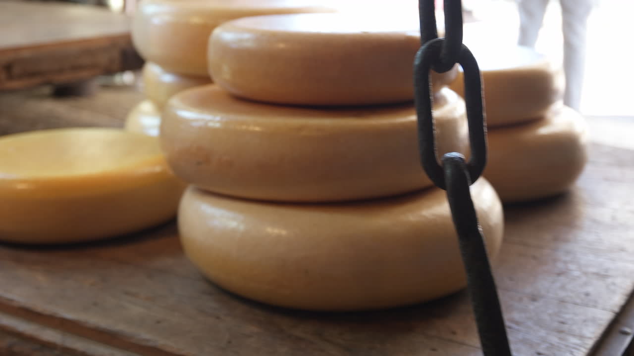 네덜란드 구다에 있는 드 구드세 와그 내부의 전통 계량판에 있는 네덜란드 치즈