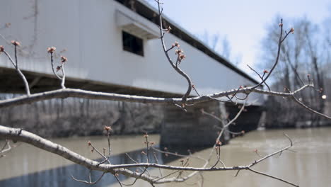 exterior of wooden covered bridge with budding tree branch in foreground